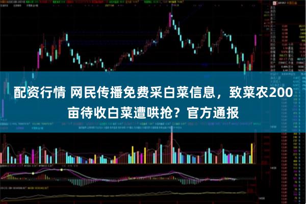配资行情 网民传播免费采白菜信息，致菜农200亩待收白菜遭哄抢？官方通报