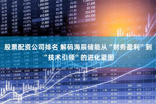 股票配资公司排名 解码海辰储能从“财务盈利”到“技术引领”的进化蓝图
