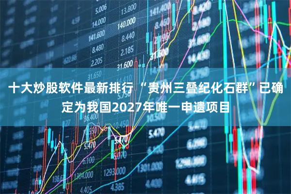 十大炒股软件最新排行 “贵州三叠纪化石群”已确定为我国2027年唯一申遗项目